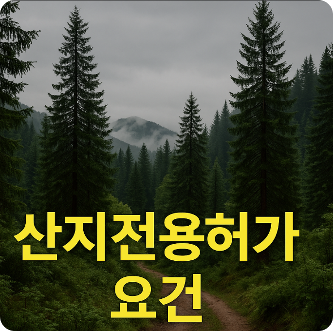 산지전용허가 요건, 임야를 대지로 개발하기 위한 필수 인허가 조건