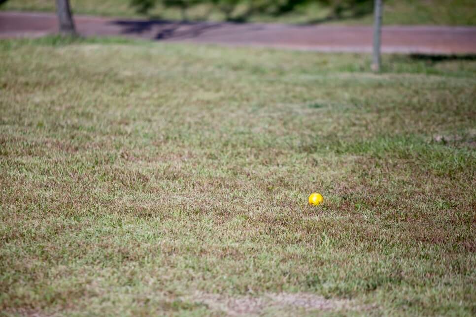 양주 나리공원 파크골프장 플레이 근접 이미지