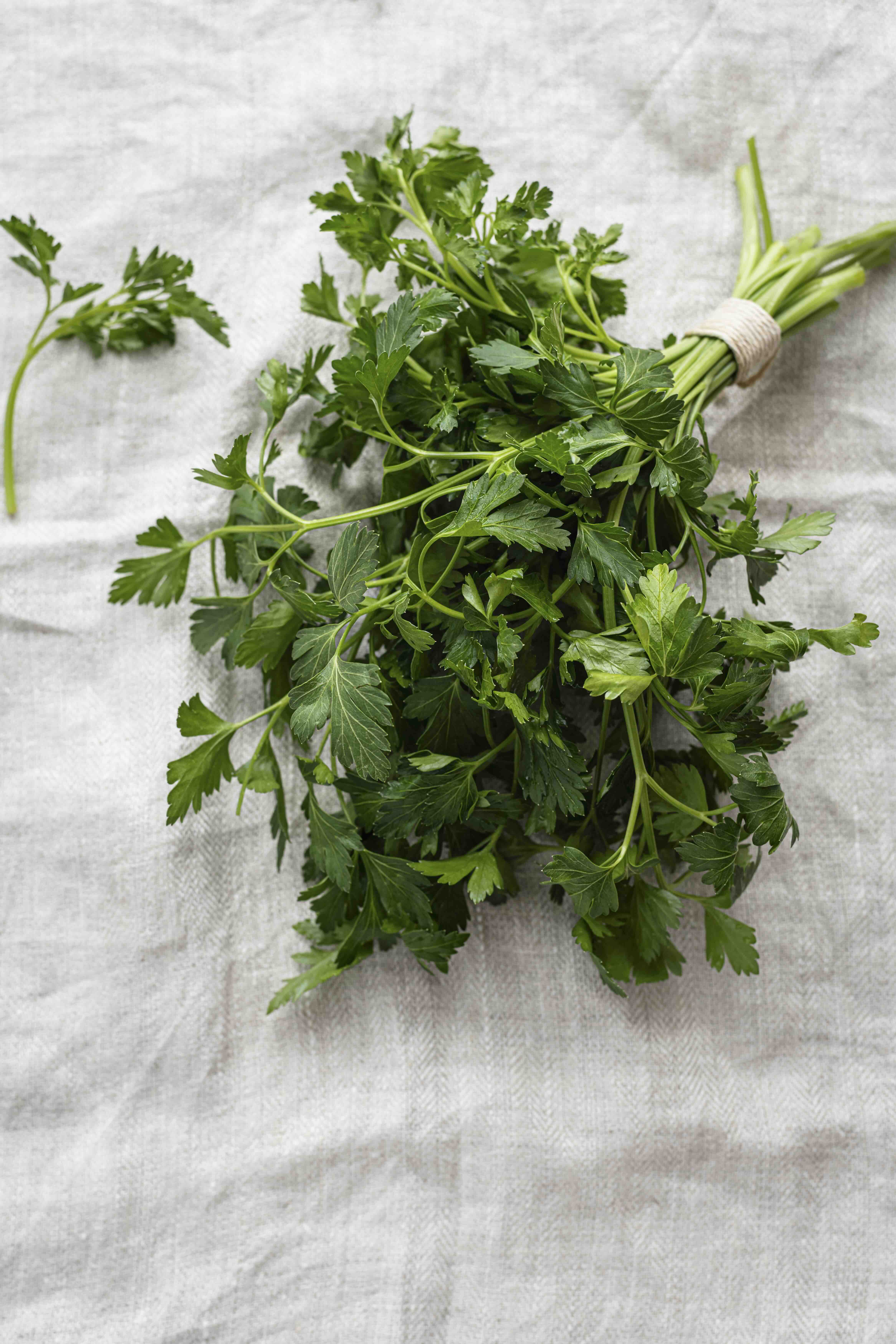 미나리 효능부터 레시피까지! 삼겹살과 찰떡궁합 요리법