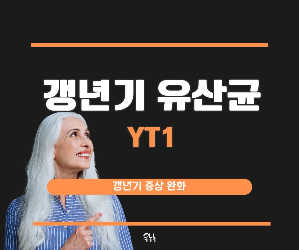 갱년기 유산균yt1