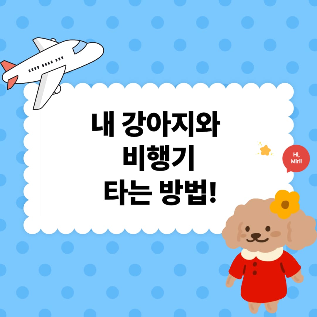 비행기 처음 타는 강아지