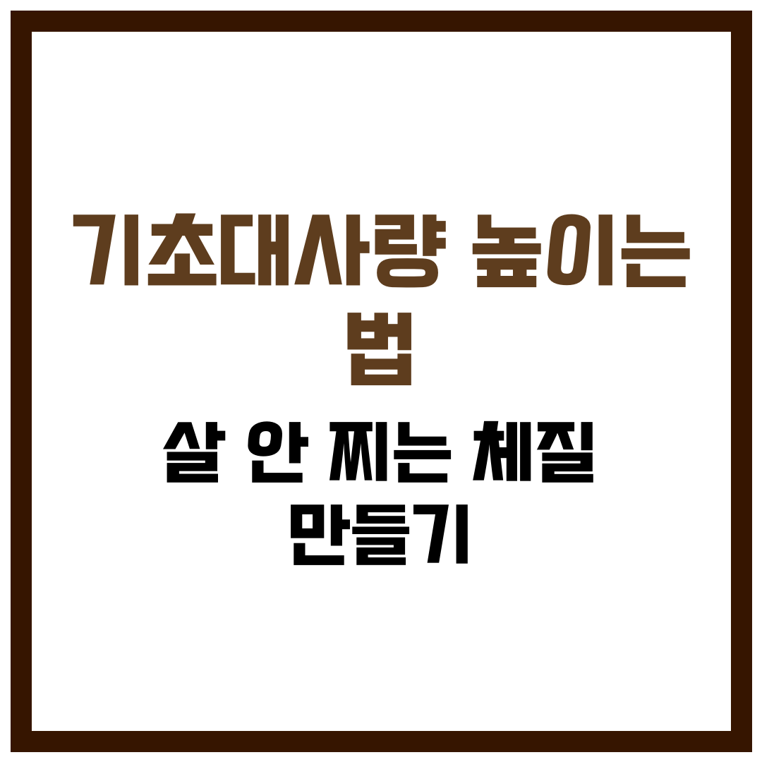 기초대사량 높이는 법