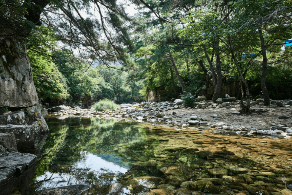괴산군 쌍곡계곡