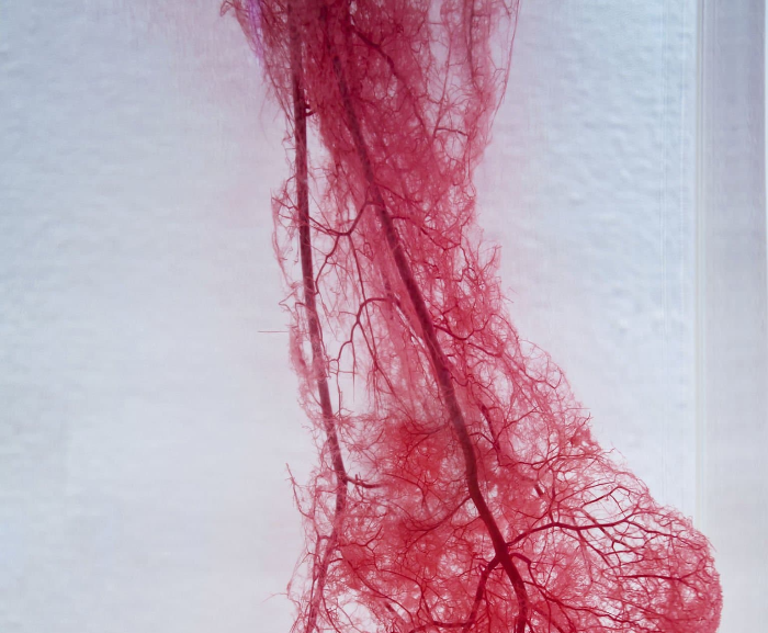 갑작스러운 무릎 통증, 관절염 아닌 ‘이것’ 때문일 수 있습니다