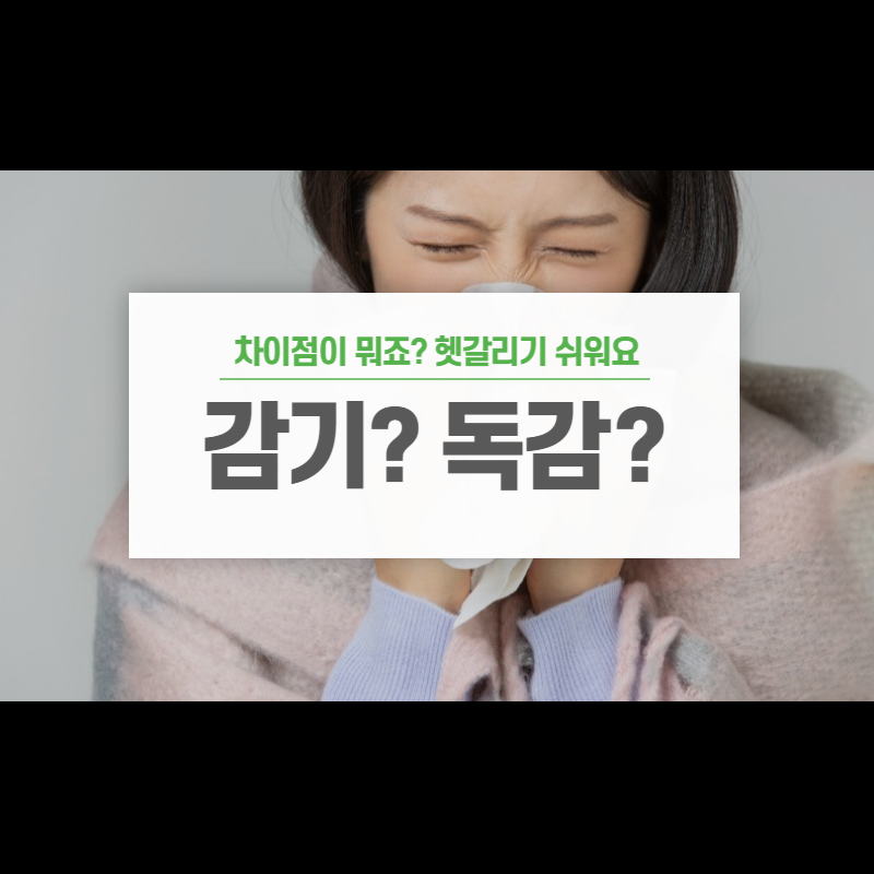 A형독감, B형독감, 감기 증상 차이점 대표사진