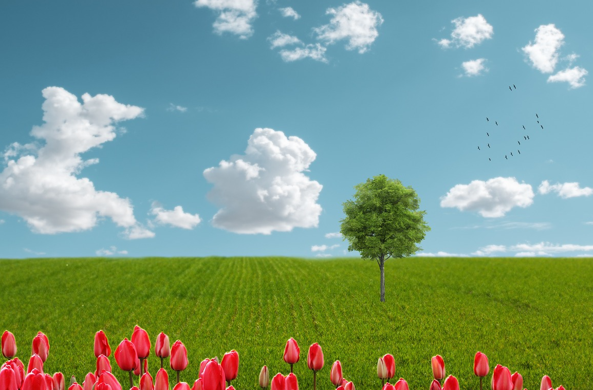 나는 왜 참는 사람이 되었을까