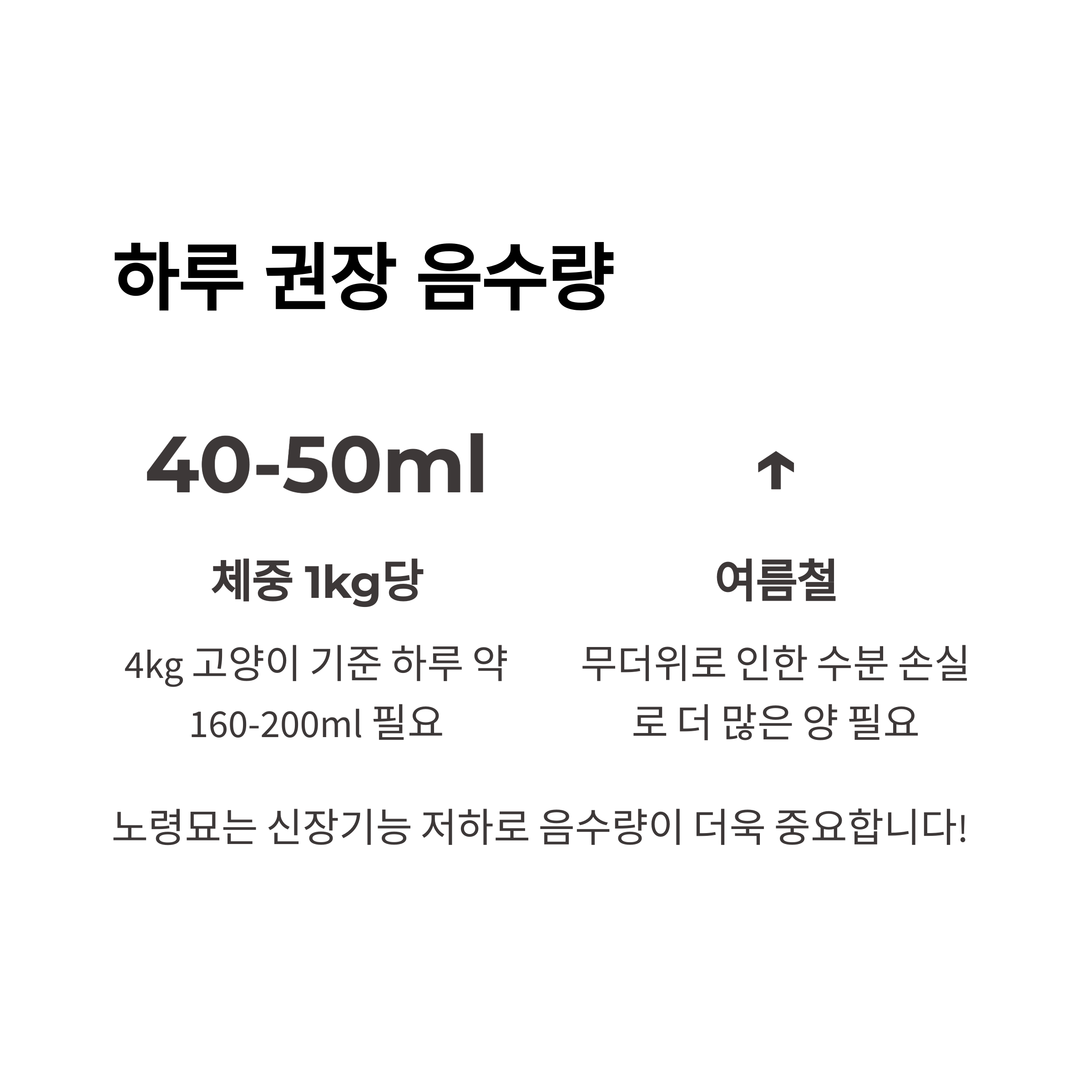 하루 권장 음수량