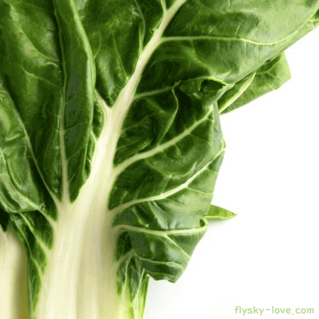 비타민K가 풍부한 근대