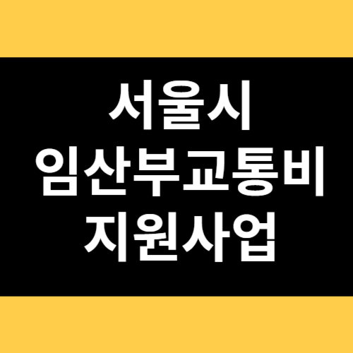 서울시 임산부교통비 지원사업 썸네일