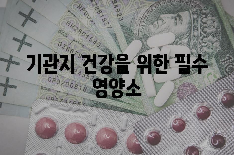 기관지 건강을 위한 필수 영양소