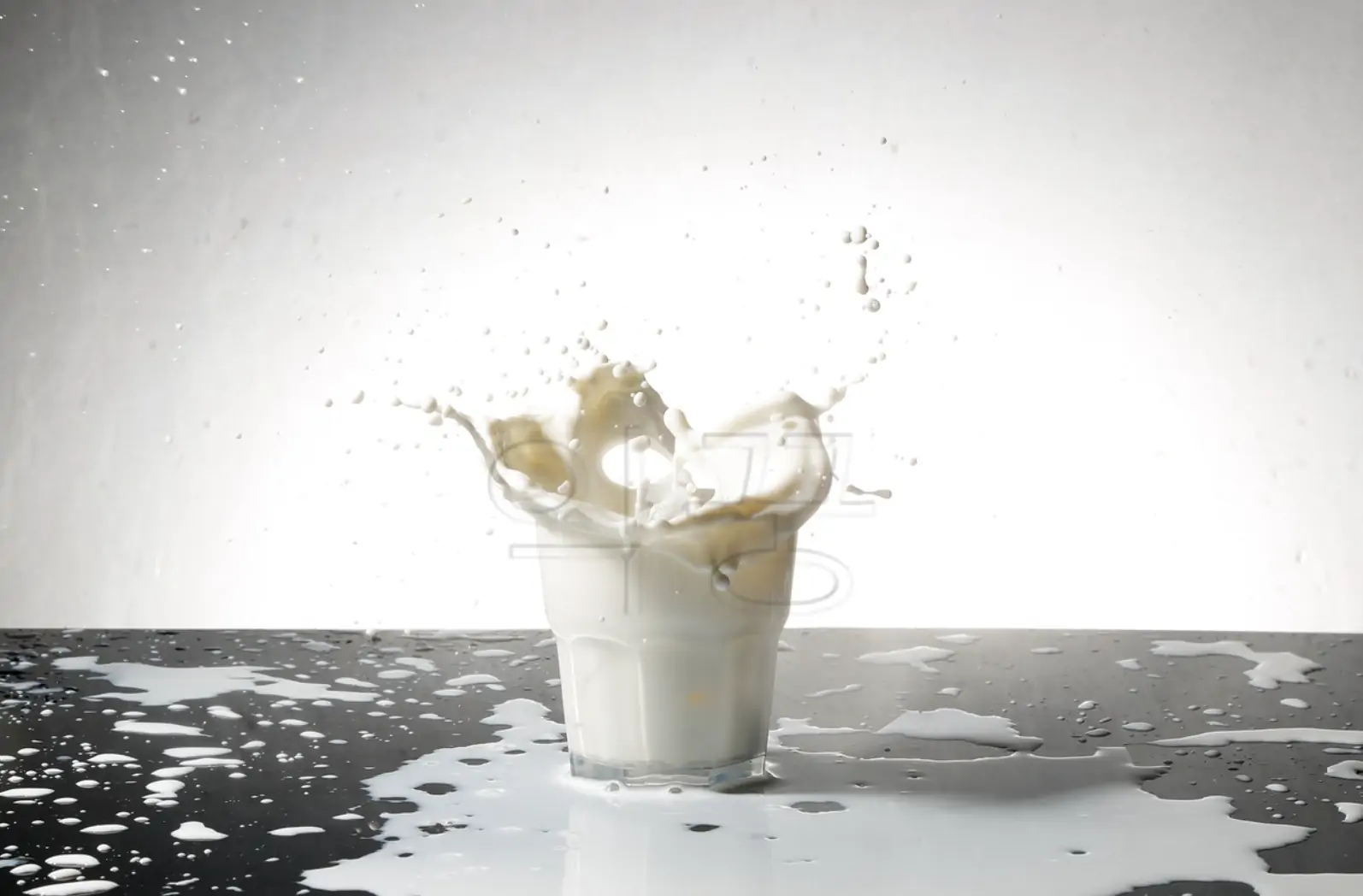 락토페린 성분 설명 관련 사진