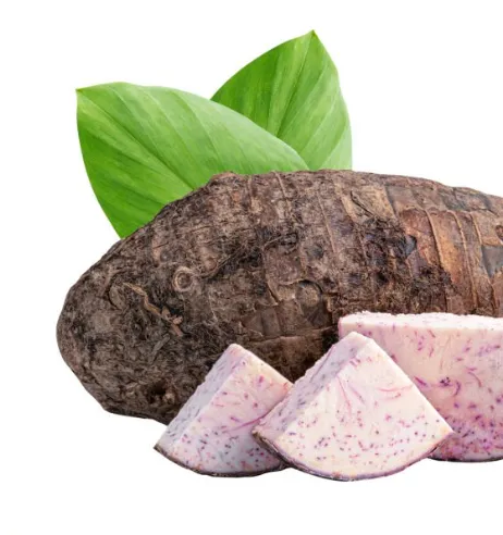 토란(Taro, Colocasia esculenta)은 뿌리줄기를 식용으로 사용하는 전통 작물
