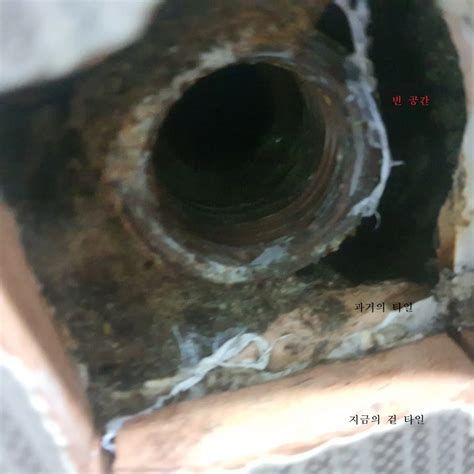 집 누수 보험