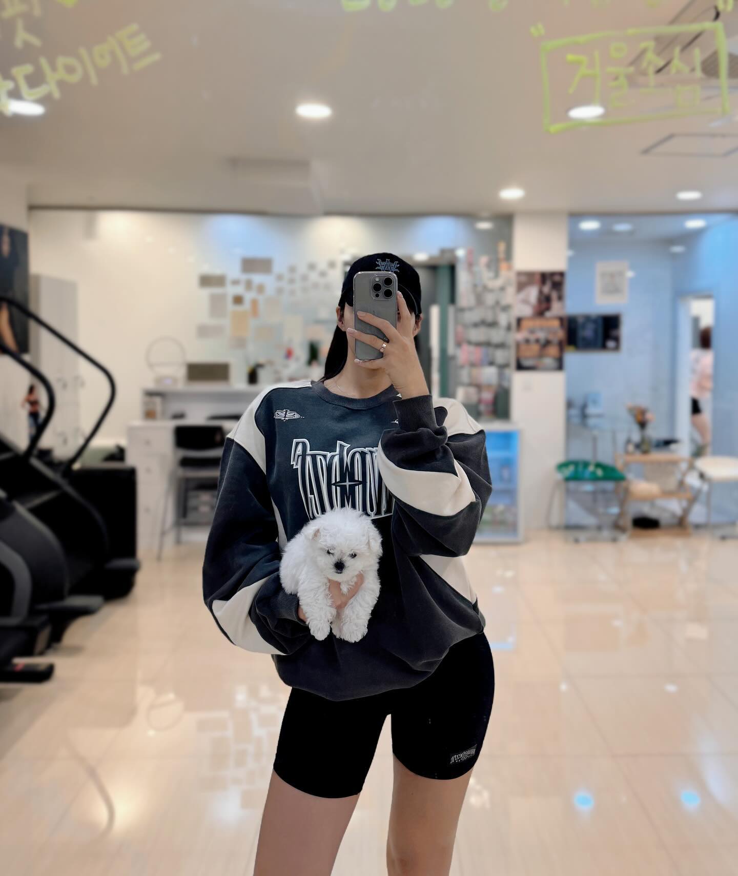 피티니스 모델 이송이