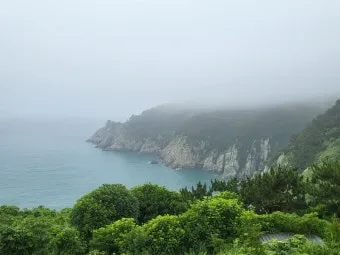 통영 연화도 수국 꽃길 산책 코스와 최적 관람 시기_19