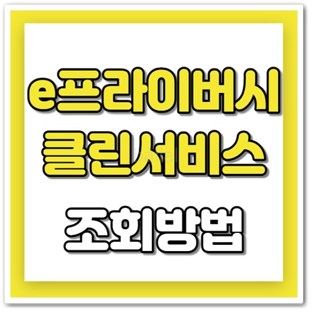 e프라이버시 클린서비스