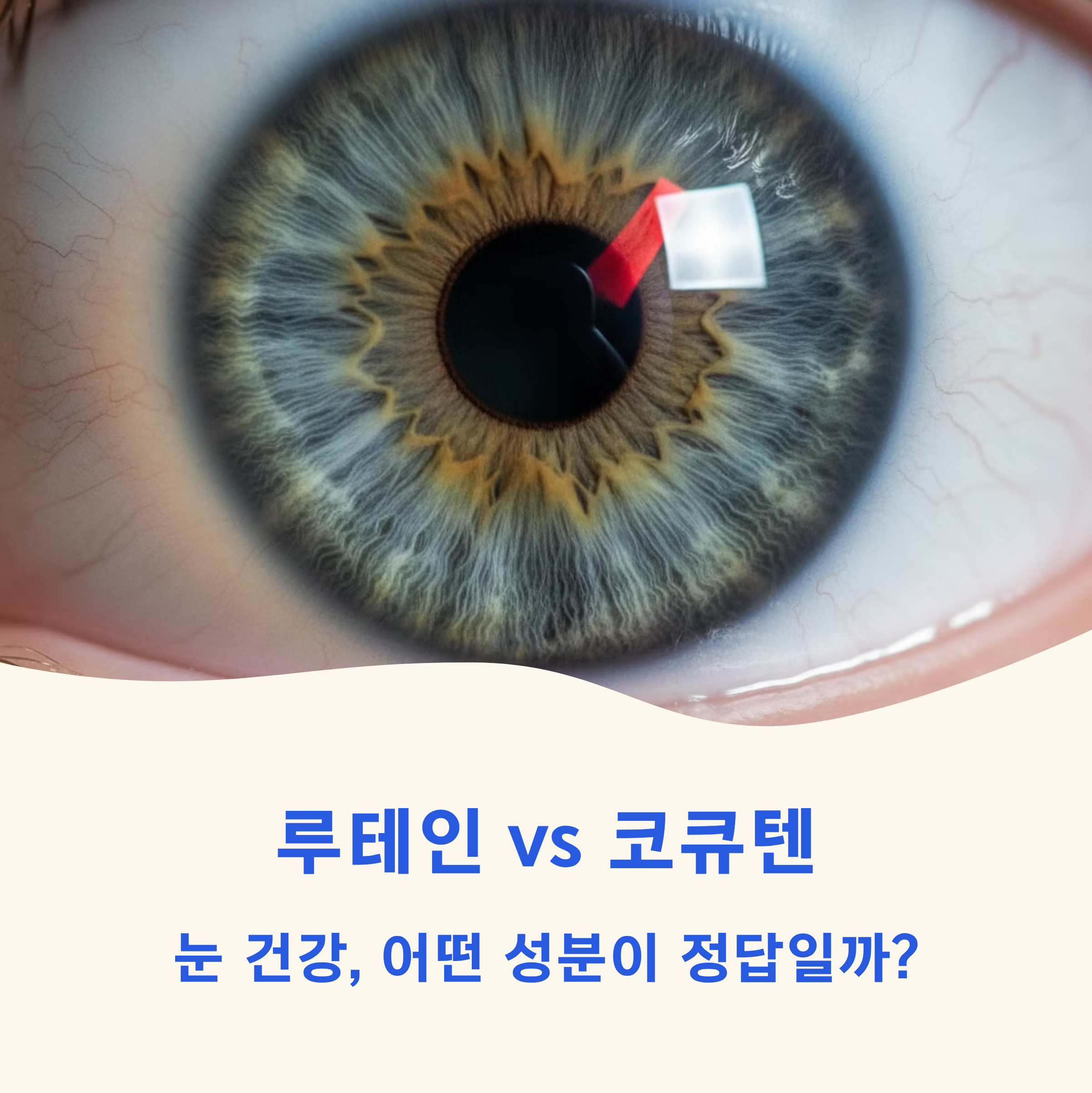 루테인 vs 코큐텐