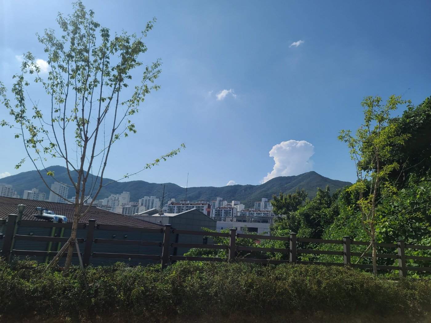 박물관 1층 카페 옆에서 바라다 보이는 수리산 정경