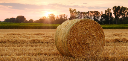 서울시 도시농업 공고 모음 관련 사진