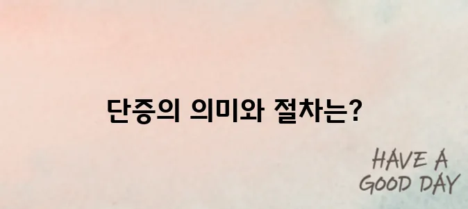 국기원 단증이 뭔가요? 발급부터 효력까지 완벽 해설!