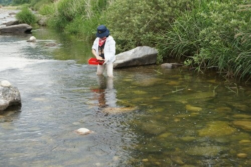 생방송투데이 이 주의 장바구니 맑은 강의 보물 영월 다슬기 주문방법 아띠라이프 생방송투데이 3781회
