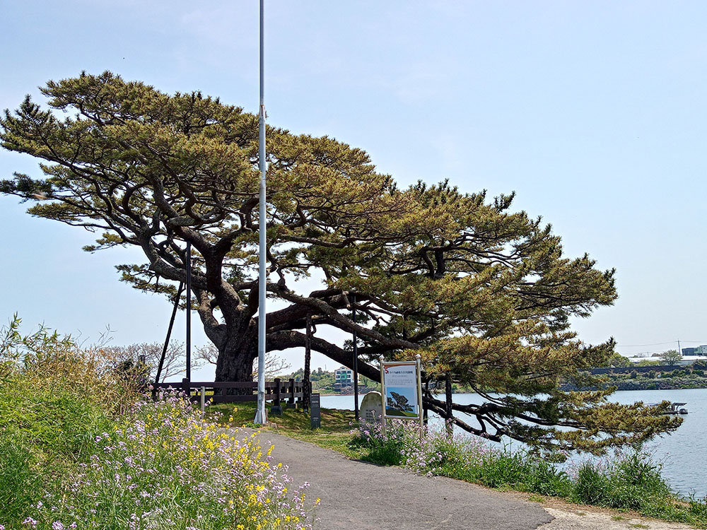 올레길 16코스: 수산저수지