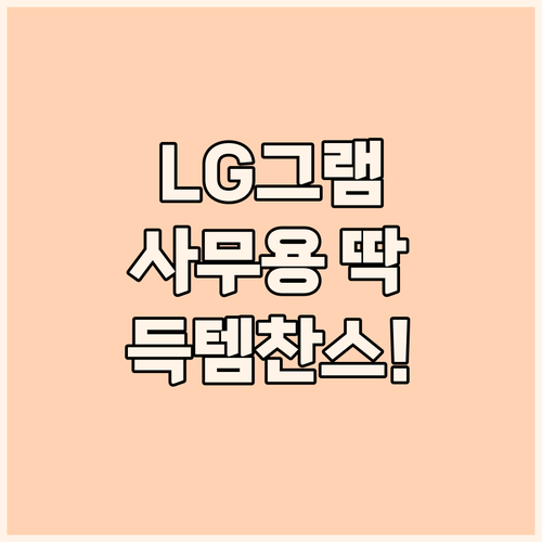 LG 그램 노트북, 사무용으로 딱! ..