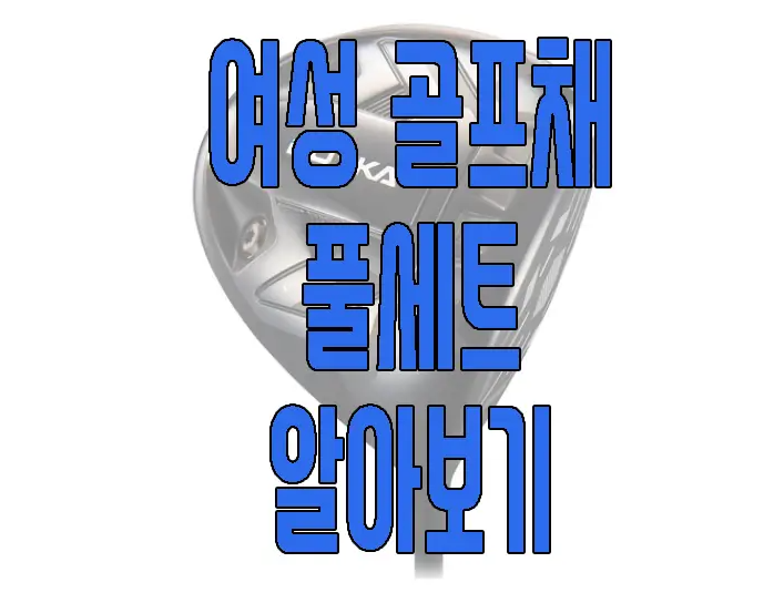 여성 골프채 세트에 관한 글 보러 가기 링크 사진