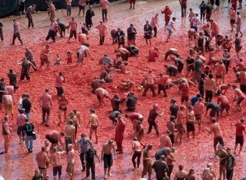 스페인 토마토 축제