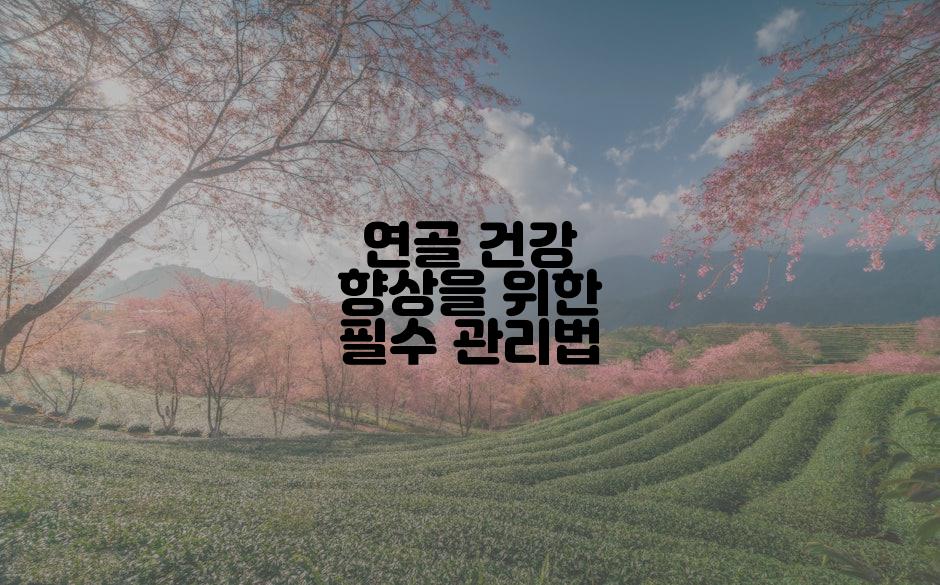 연골 건강 향상을 위한 필수 관리법