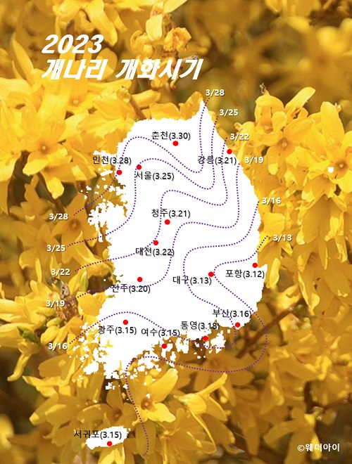 진달래 개화시기