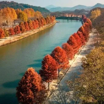 담양 맛집 베스트10 진짜 현지인만 아는곳_21