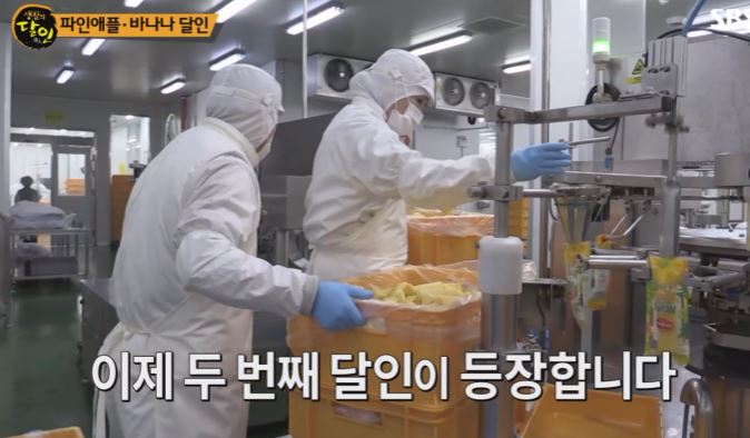 파인애플 달인