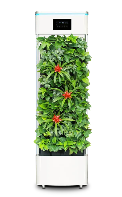 공기정화식물 추천 초보친화 관리쉬운 종류 물주기 빛 관리 가이드_9