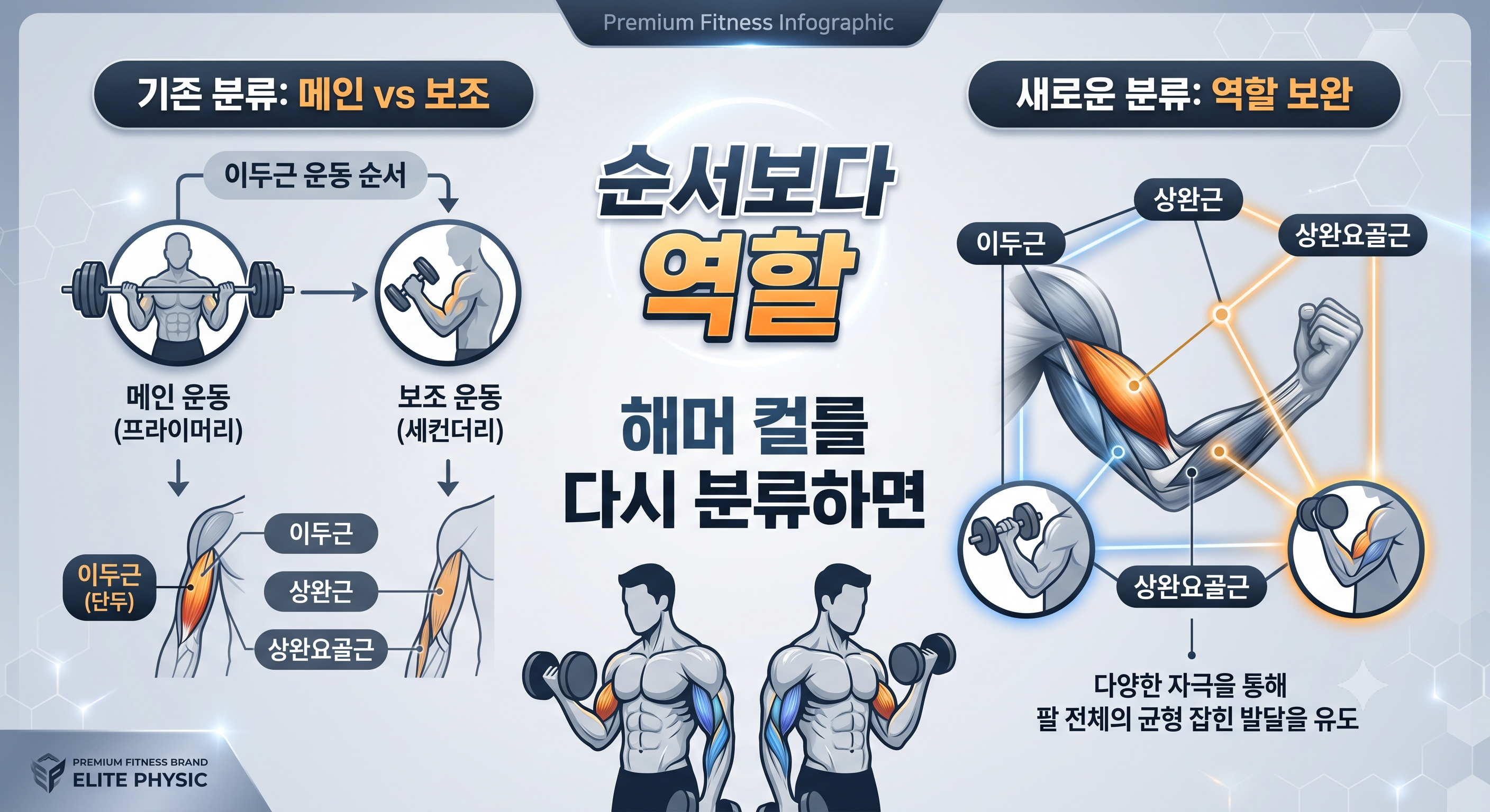 해머 컬를 다시 분류하면