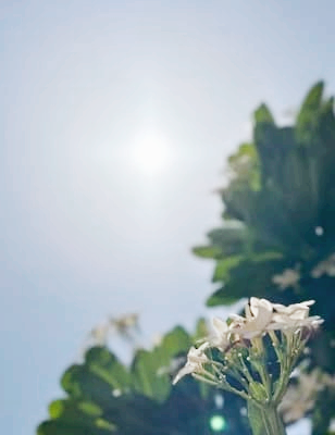 햇빛 알레르기 증상과 없애는방법