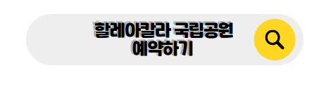 하와이 신혼여행