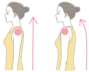 자세를 좋게 하다