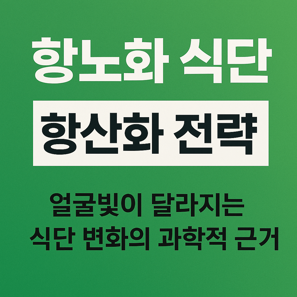 항노화 식단 항산화 전략
