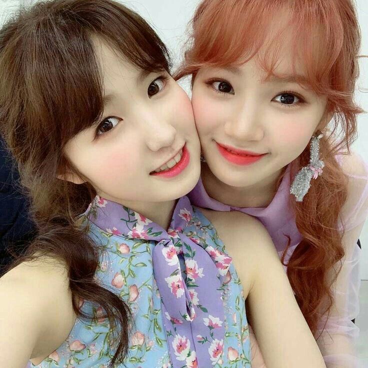 아이즈원 프로듀스48 사진 모음 아이즈원 프로듀스48 사진 모음