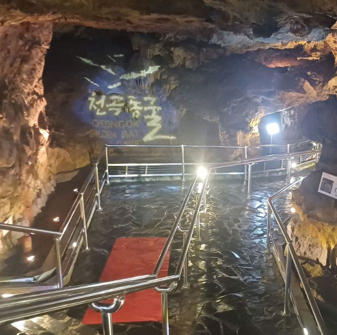천곡황금박쥐동굴