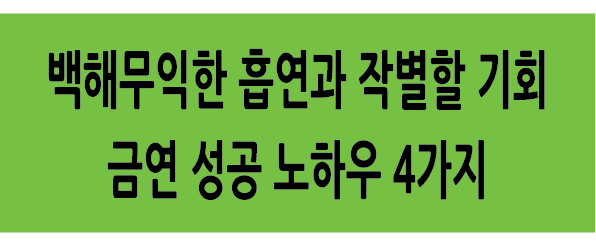 Alt 속성 문제 해결 설명 이미지