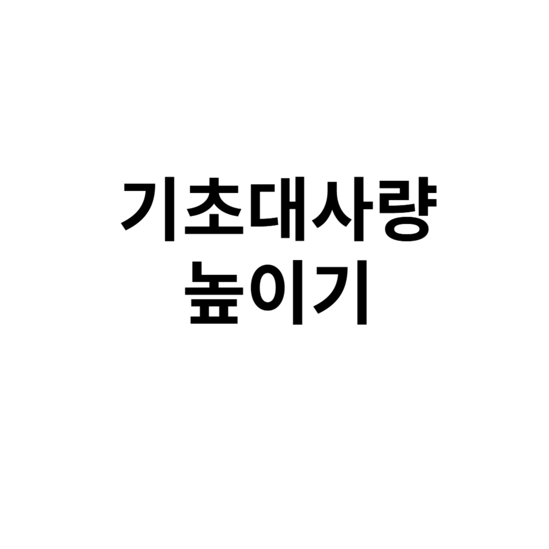 기초대사량높이기 적힌 사진