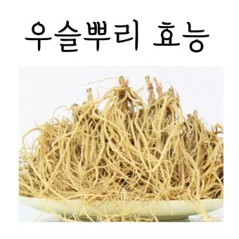 우슬뿌리 효능 부작용 먹는법 건강 활용 팁_12