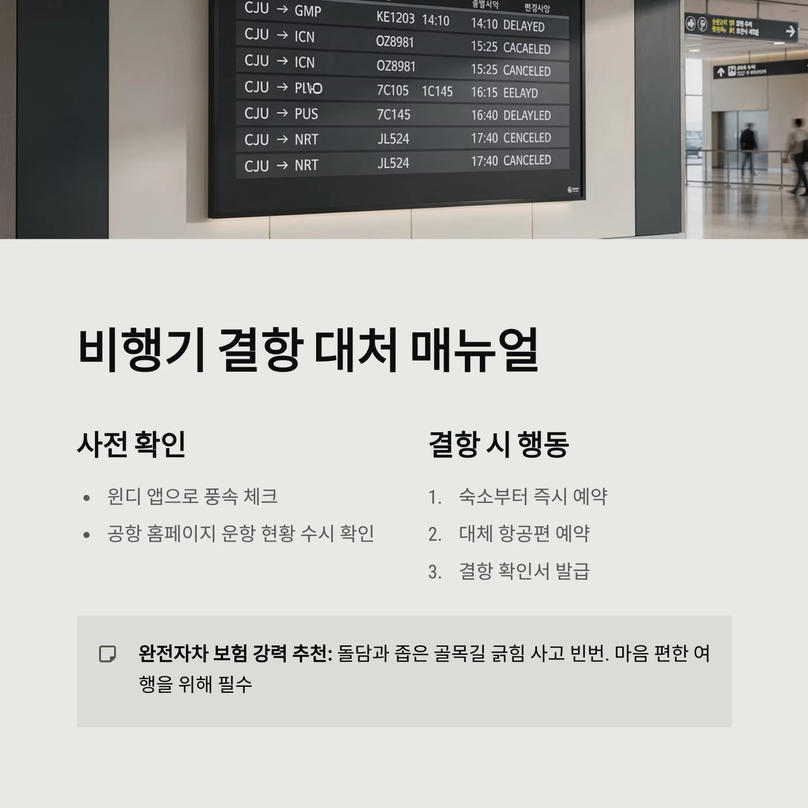 제주도 일기예보와 여행 주의사항 총정리: 실시간 CCTV 확인부터 옷차림, 비행기 결항 대처법까지