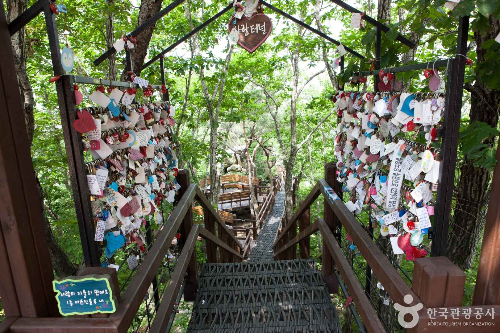 팔공산 케이블카