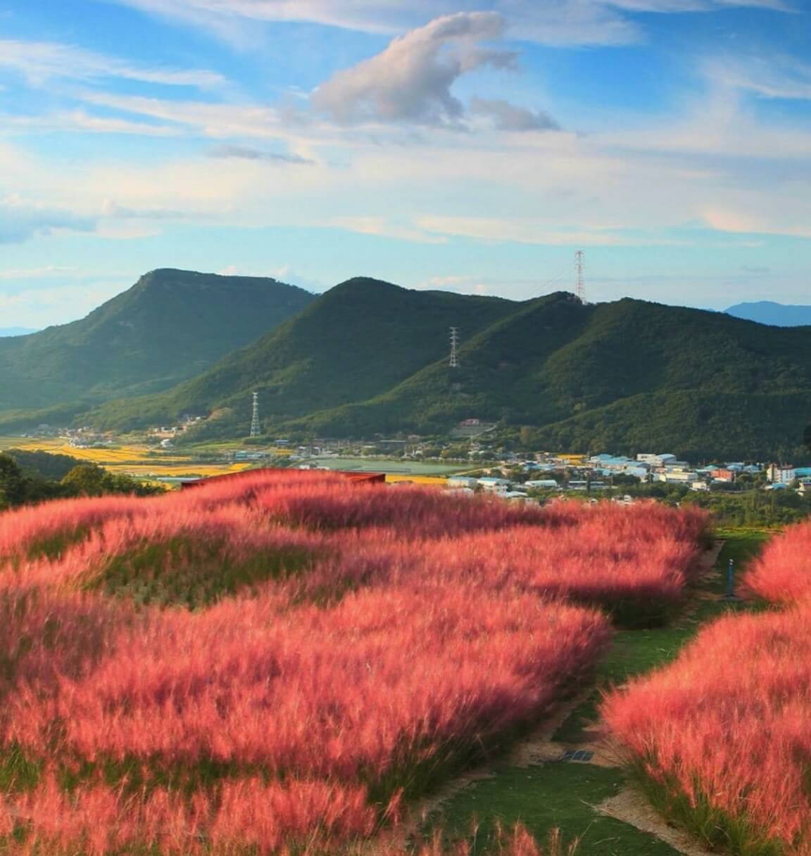 가산수피아 플라워 페스티발