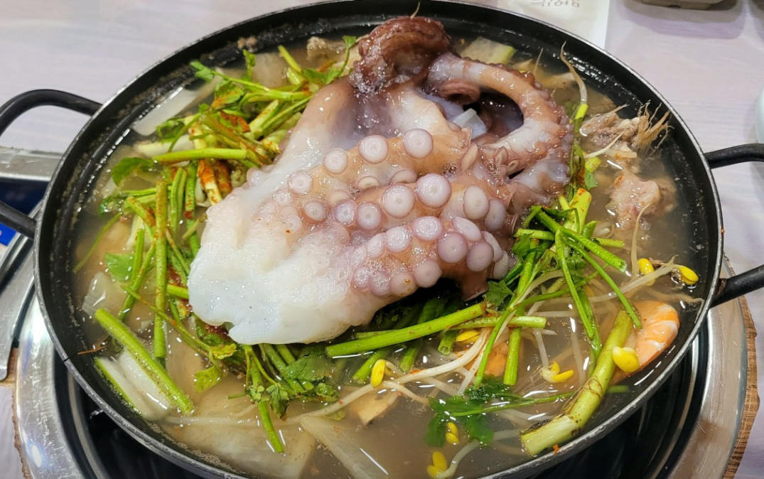 백반기행 삼척 문어해물탕