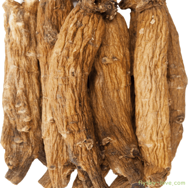 면역력 키워주는 홍삼 특징