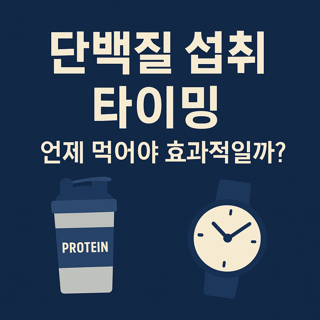 단백질 섭취 타이밍 - 사진